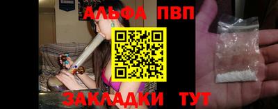 сатива Гай