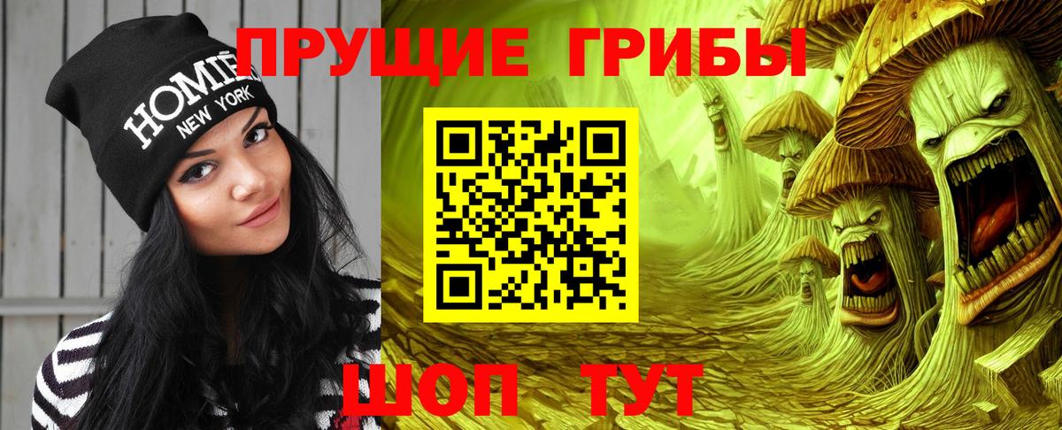 наркошоп  Вход с VPN  Галлюциногенные грибы GOLDEN TEACHER  Нефтекумск  Галлюциногенные грибы мухоморы 
